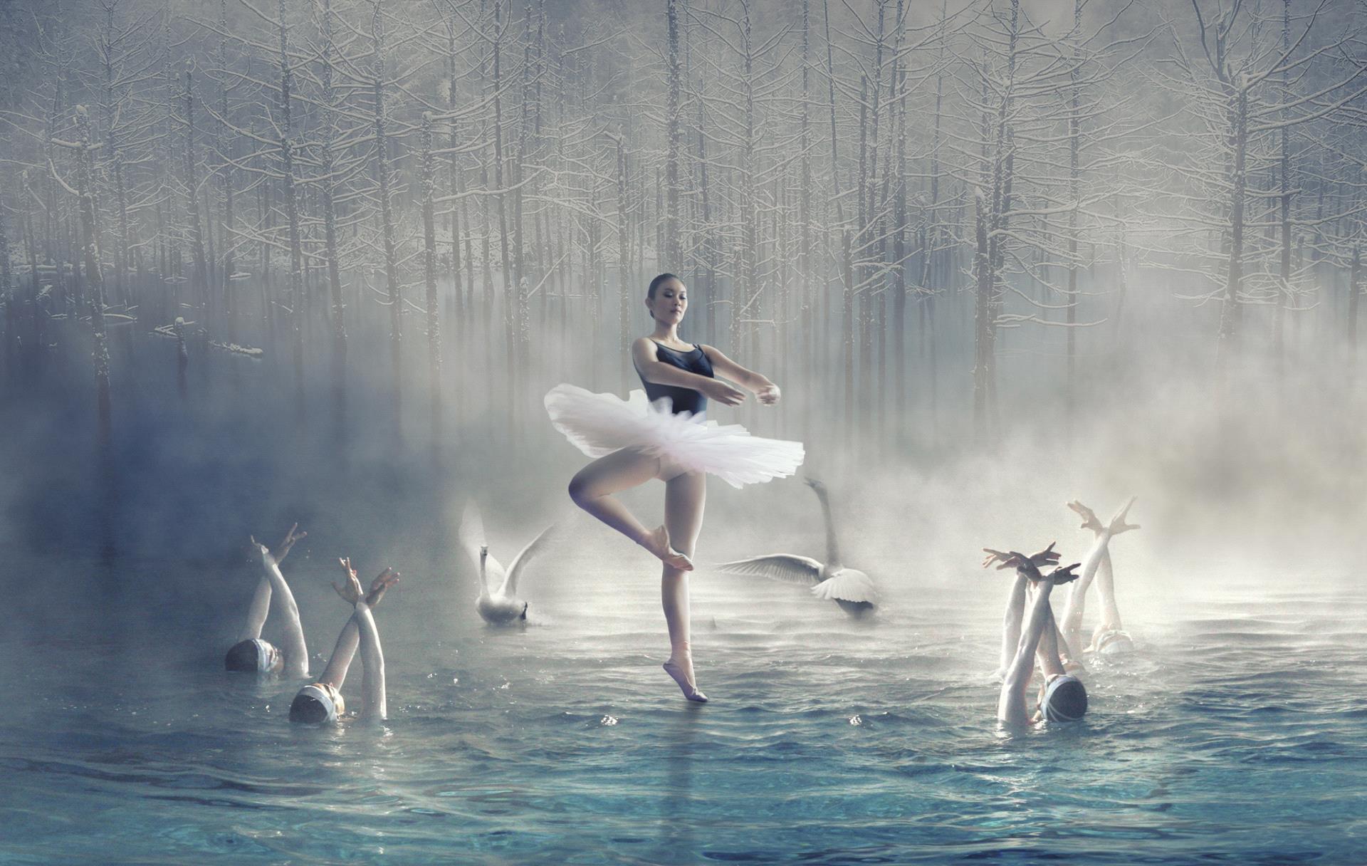 Golden Dragon Photo Award - Chua Chung Nam (Malaysia) - Swan Lake