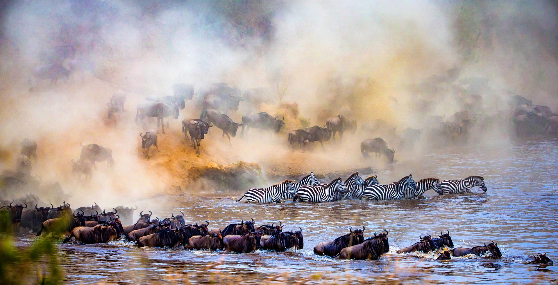 Golden Dragon Photo Award - Chan Ieong Tam (Macau) - Wild Trek1