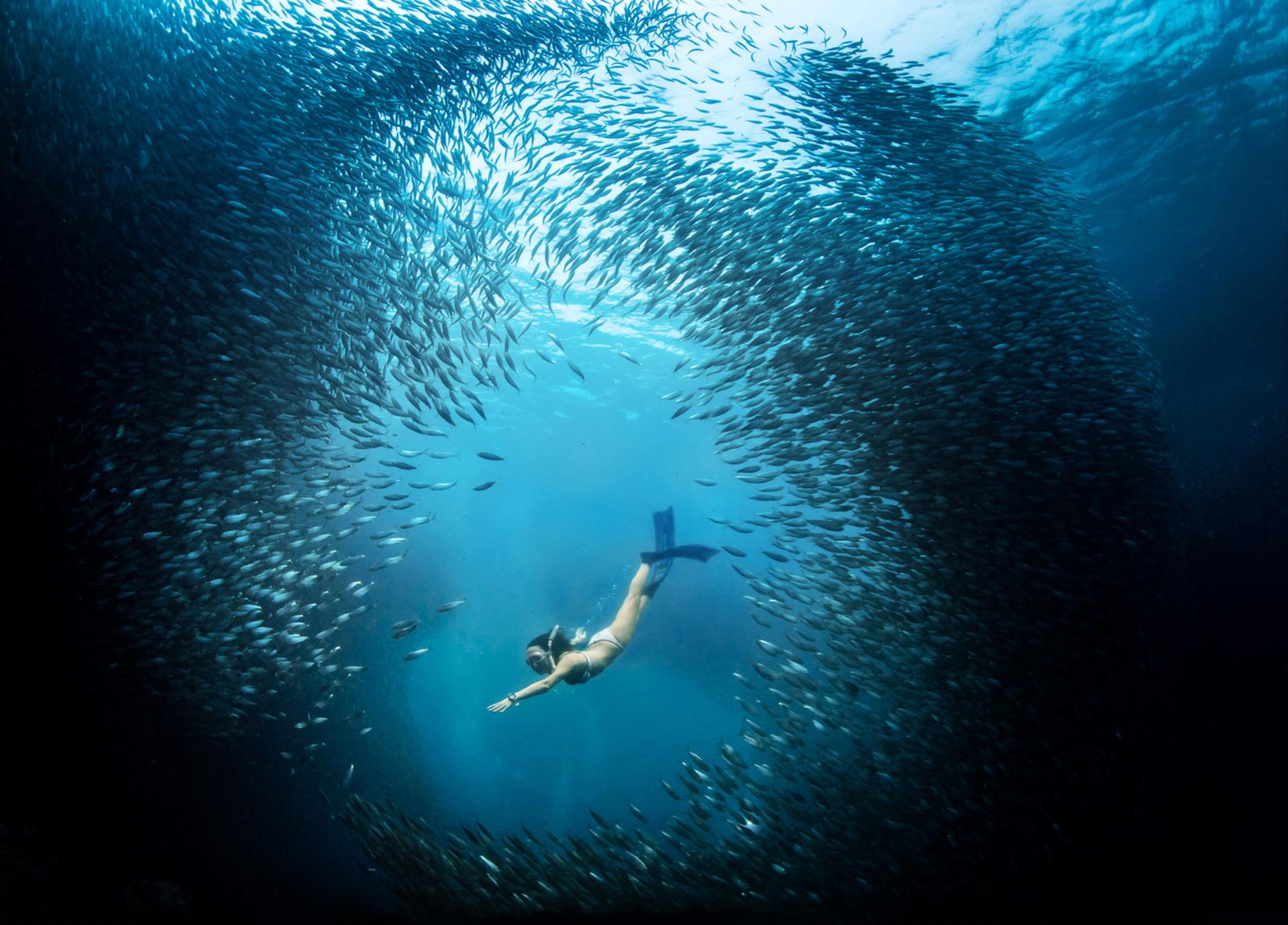 Certificate of Commendation - Hongjun Yue (China) - Beauty In Sea