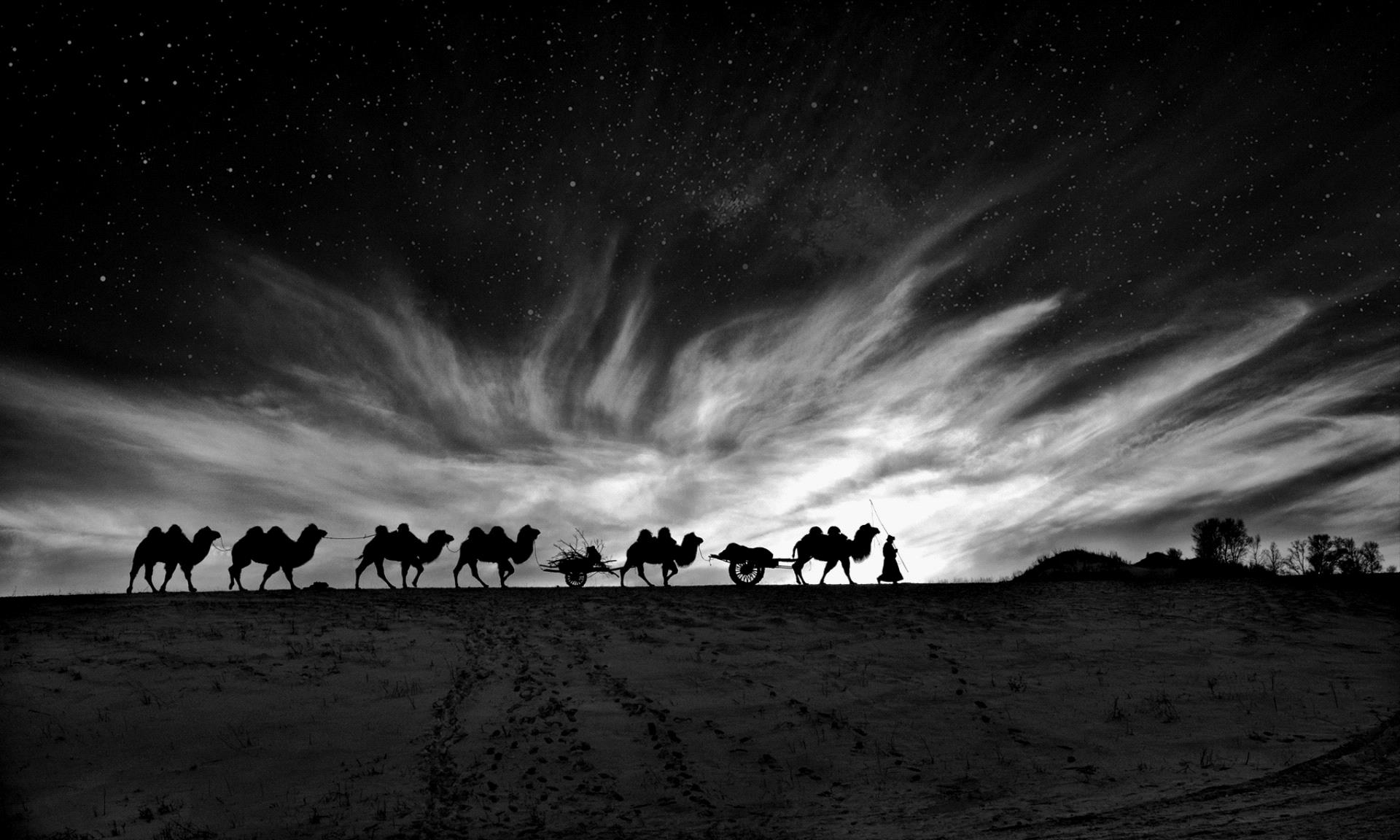 Golden Dragon Photo Award - Joao Taborda (Portugal) - The Night Caravan