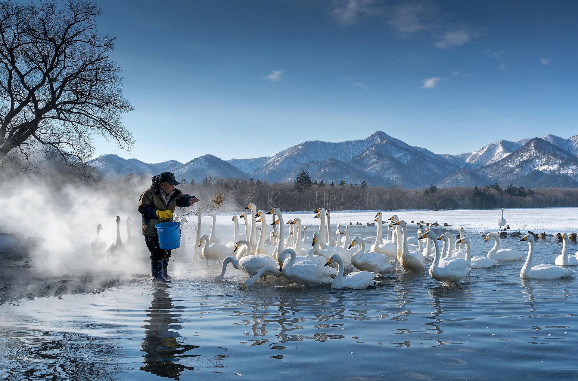 Golden Dragon Photo Award - Yanru Shen (China) - Winter Song